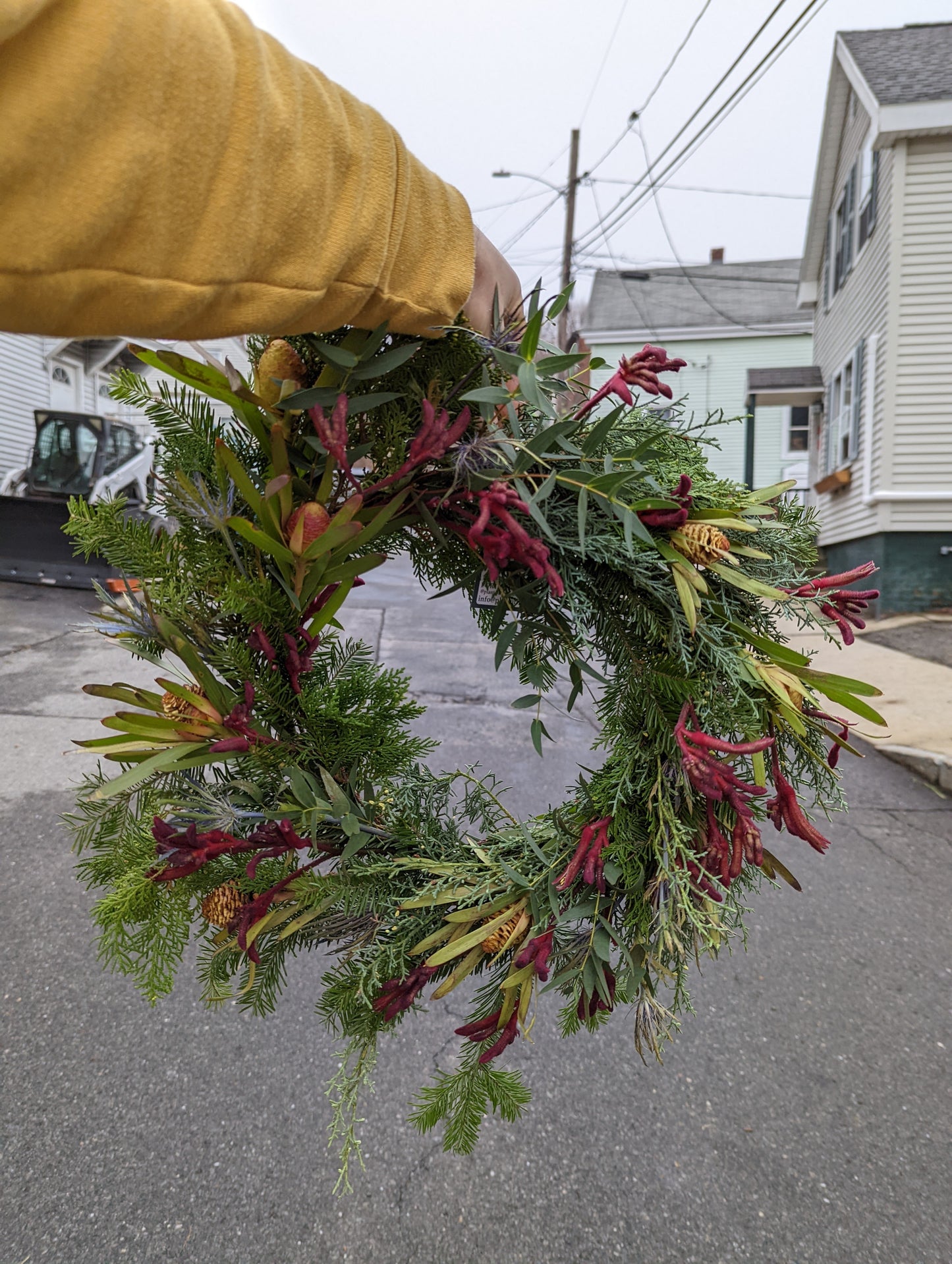 Fresh Pine Wreath- Made to Order at Plant Office