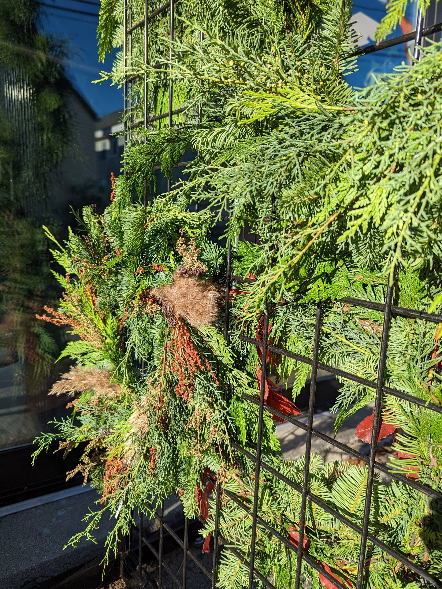 Fresh Pine Wreath- Made to Order at Plant Office